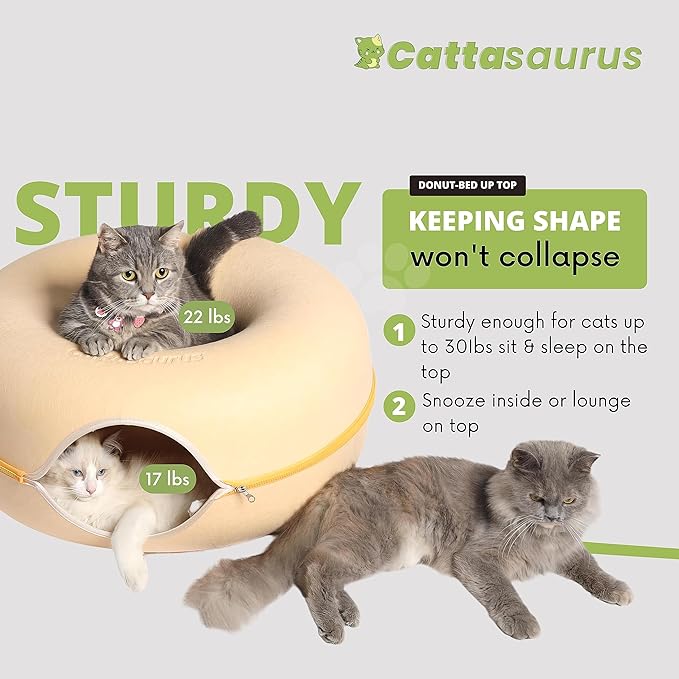 CATTASAURUS Peekaboo Cat Cave for Multiple & Large Cats Up to 30-45 Lbs, Scratch Detachable &