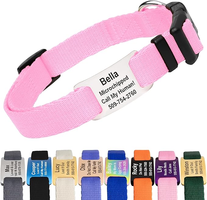 GoTags Personalized Dog Collar with Nameplate, Adjustable Dog Collar with Custom Engraved Slide On