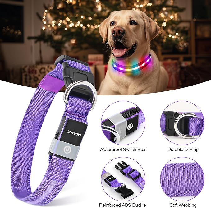 LED Dog Collar, Light Up Dog Collar, USB Rechargeable - Brightest Dog Lights for Night Walking, 6