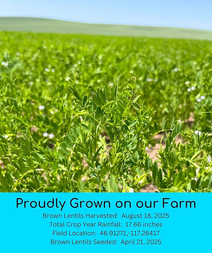 Certified Glyphosate Residue Free Brown Lentils | 25 LBS | Bulk | Desiccant Free | Sproutable |