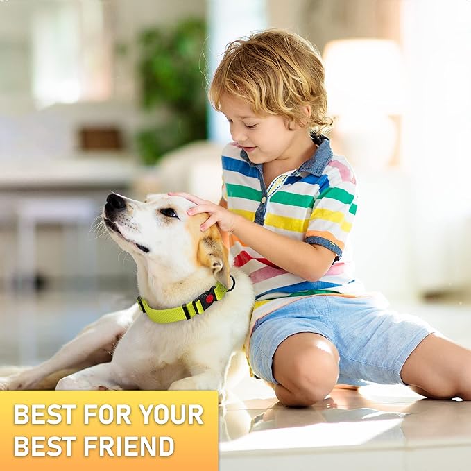 Adjustable Dog Collar with QR Code Dog Tag ID Attached - Made in USA - Honeycomb Waterproof Heavy