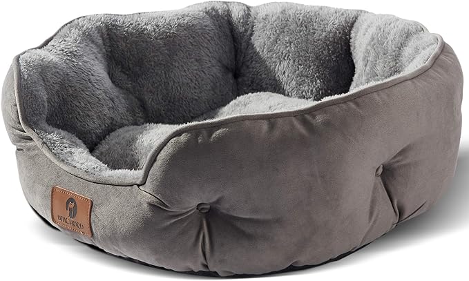 Asvin Medium Dog Bed for Medium Dogs, Cat Beds for Indoor Cats, Pet Bed for Puppy and Kitty, Extra