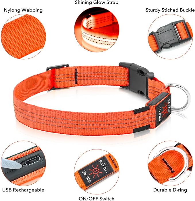 Illumifun Light Up Dog Collar USB Rechargeable LED Dog Collar, Adjustable Blinking Dog Light for