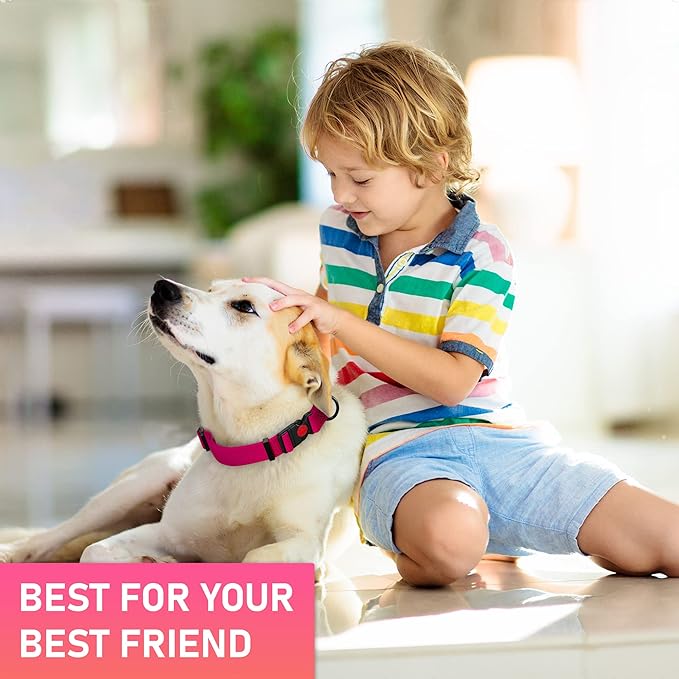 Adjustable Dog Collar with Safety Lock Buckle - Made in USA - Honeycomb Waterproof Heavy Duty Dog
