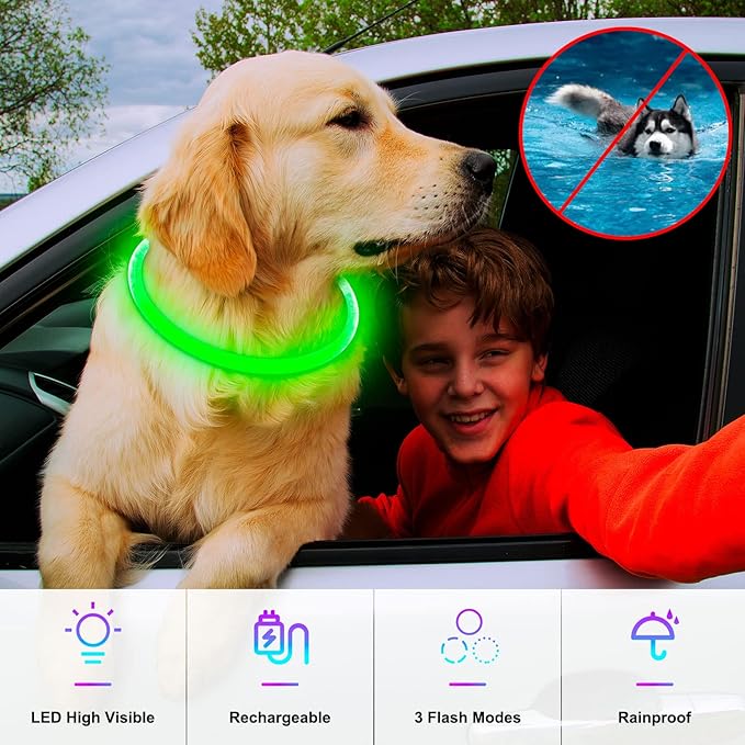 Light Up Dog Collar, Dlitk Rechargeable Cuttable LED Dog Collars, Pet Safety Light at Night Walking