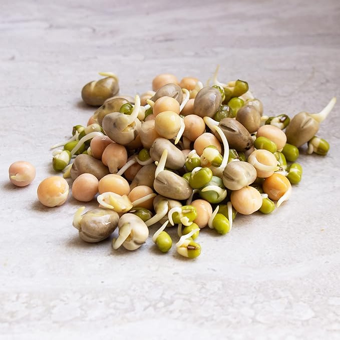 Organic Sprouting Seeds - Handy Pantry Sweet Protein Mix 2.5 lb, Fava Bean, Mung Bean, & Yellow Pea