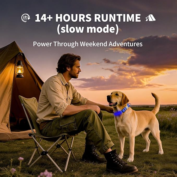 LED Dog Collar with Metal Buckle - USB Rechargeable Glow Collar for Dogs, Waterproof Light Up Dog