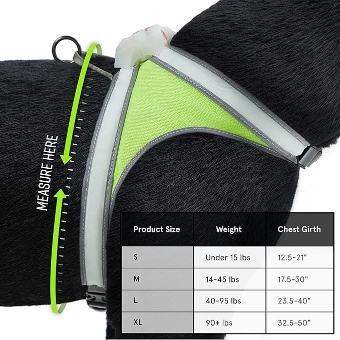Noxgear LightHound ??Revolutionary Illuminated and Reflective Harness for Dogs Including