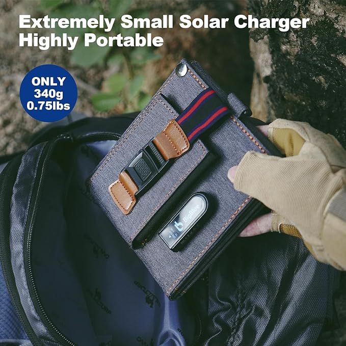 [Upgraded Tiny Solar Charger] BigBlue 14W SunPower Solar Panels with USB-A Port(5V/2.4A Max), IPX4