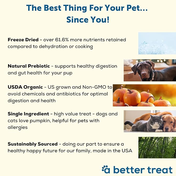 A Better Treat ??Freeze Dried Organic Pumpkin Dog and Cat Treats, Organic, Single Ingredient |