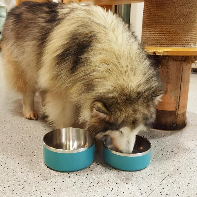 Stainless Steel Dog Bowl - Metal Water and Food Dish for Large Dogs, Insulated, Non-Slip, Easy