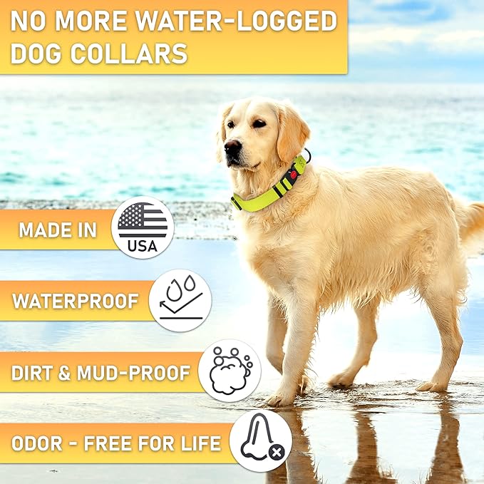 Adjustable Dog Collar with QR Code Dog Tag ID Attached - Made in USA - Honeycomb Waterproof Heavy