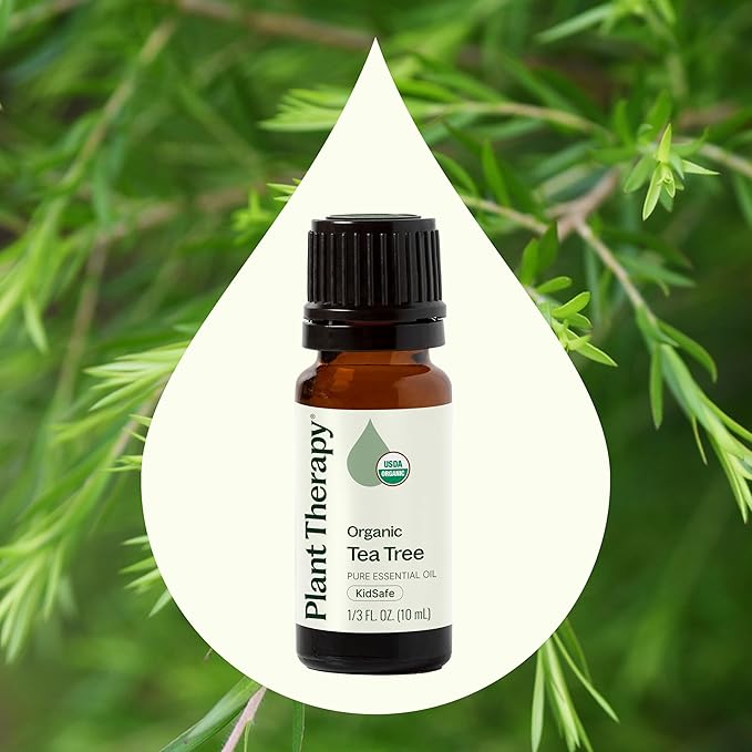 Plant Therapy Organic Tea Tree Oil (Melaleuca) 100% Pure, USDA Certified Organic, Undiluted