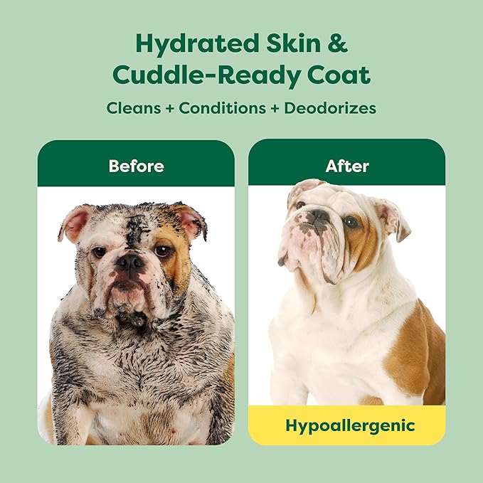 Earth Rated 3-in-1 Soothing Dog Shampoo and Conditioner, Deodorizing Oatmeal Shampoos for Dogs and