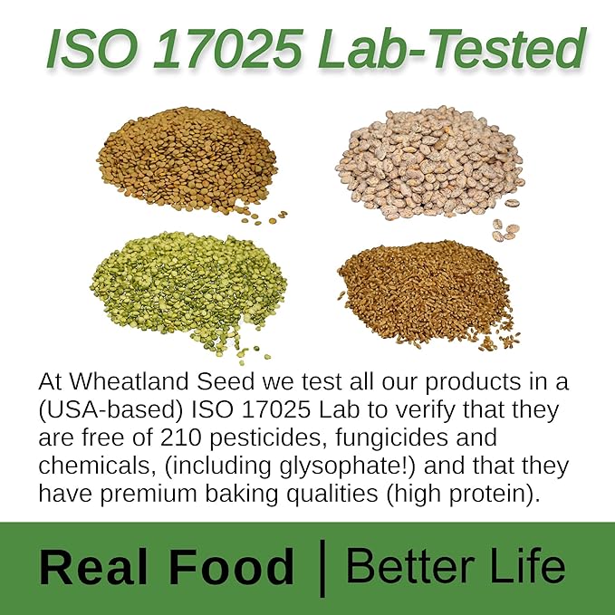 Wheatland??Lentils ??20lb ??Mylar, Oxygen Absorber and Bucket Provide 25 Year Shelf Life ??Lab