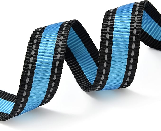 Mile High Life Dog Collar | Nylon Reflective Dog Collars | Light Weight Puppy Collars | Blue Dog