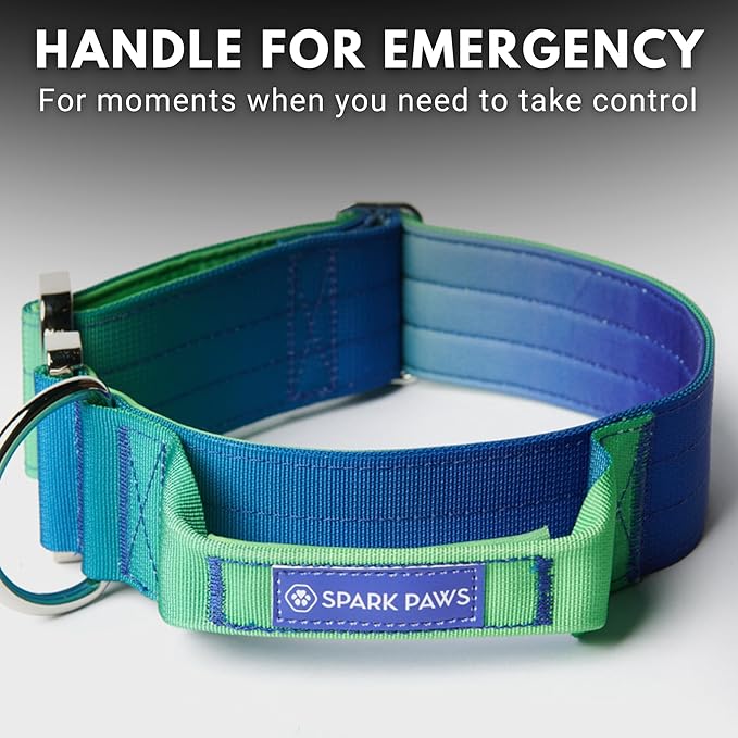 Spark Paws Tactical Dog Collar - Heavy Duty, Premium Quality, Thick and Durable for Large and