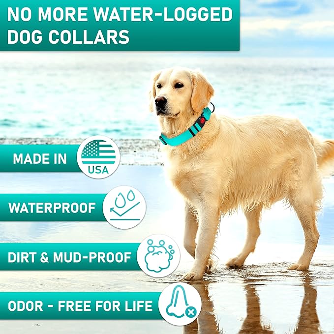 Adjustable Dog Collar with QR Code Dog Tag ID Attached - Made in USA - Honeycomb Waterproof Heavy