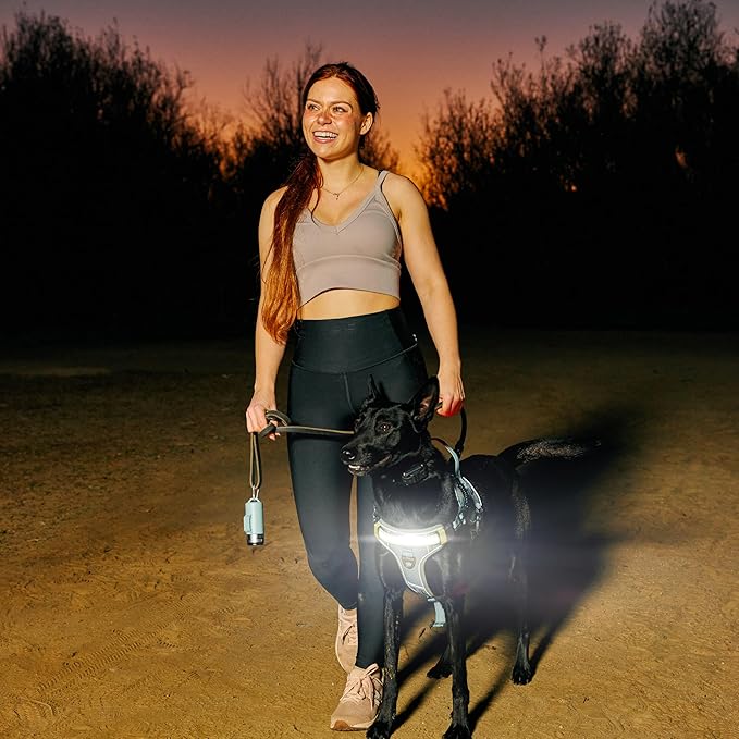 Lumi One- The Only Dog Harness That Lights Your Path at Night! Patent-Pending. Dog Safety Gear