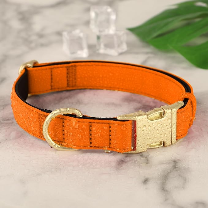 Didog Soft Padded Dog Collar for Large Dogs, Colorful and Durable Pet Collar with Quick Release