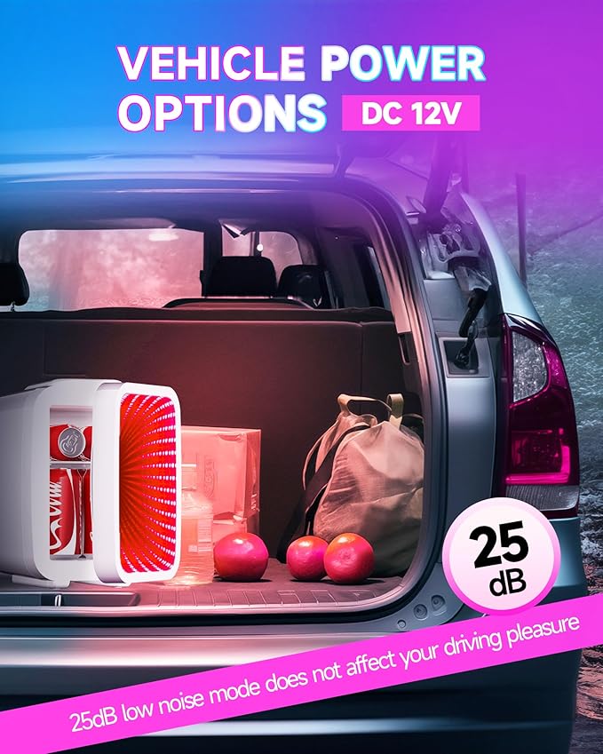 Mini Fridge, 4 Liter/6 Cans Small Refrigerator With Dimmable LED Light,AC/DC Portable