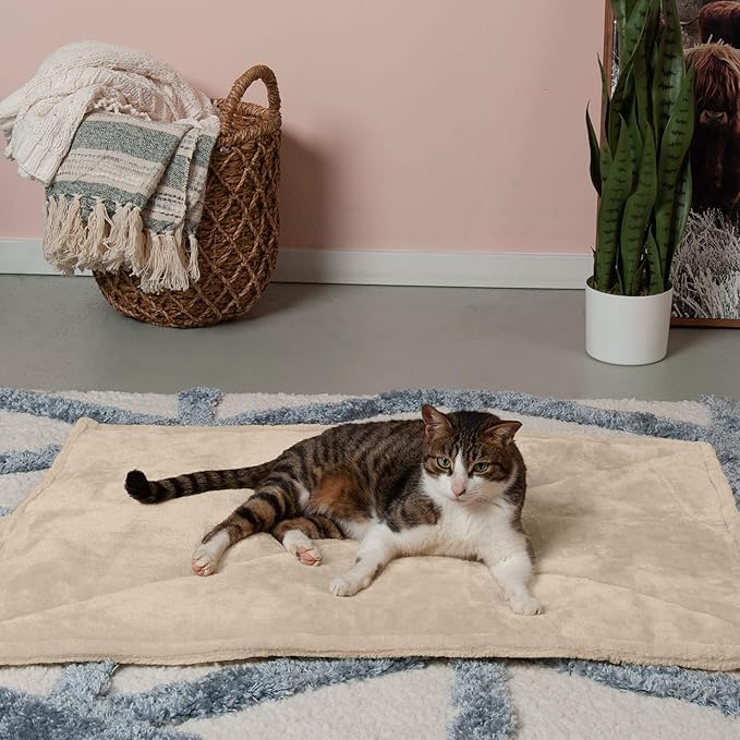 Furhaven ThermaNAP Self-Warming Cat Bed for Indoor Cats & Large/Medium Dogs, Washable & Reflects