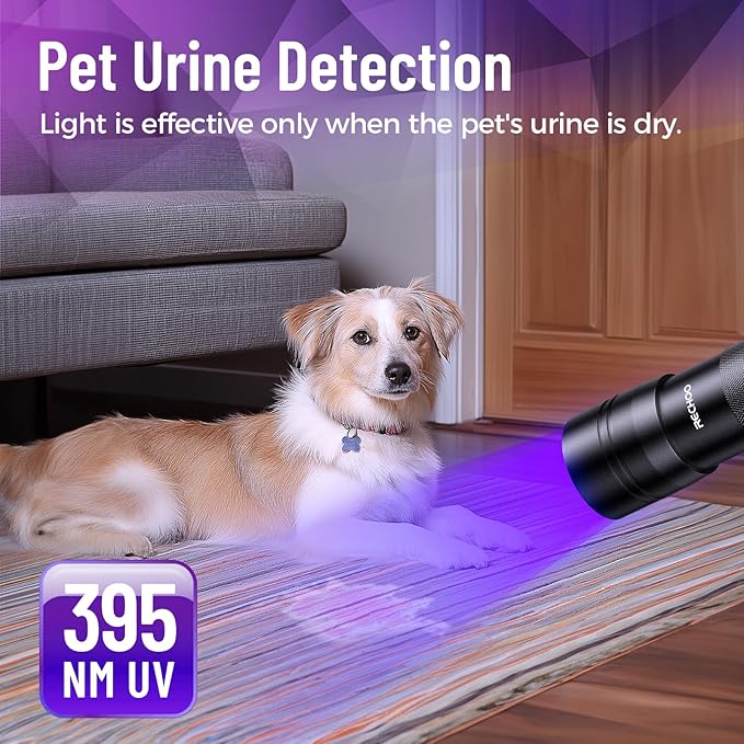 Black Light UV Flashlight 2 Pack, 12 LED 395nm UV Flashlight, Portable Mini UV Light Waterproof