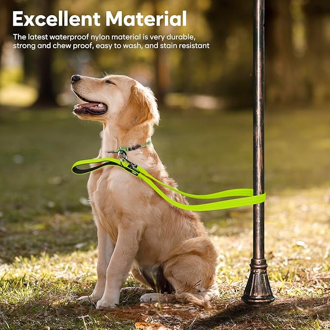 LED Dog Leash, 4 Ft Light Up Dog Leash USB Rechargeable Waterproof, Nylon Reflective Leashes with