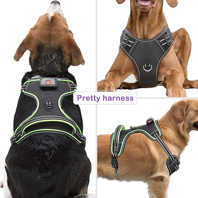 Light Up Dog Harness, No Pull LED Dog Harness with Handle, Rechargeable Lighted Safety Vest for