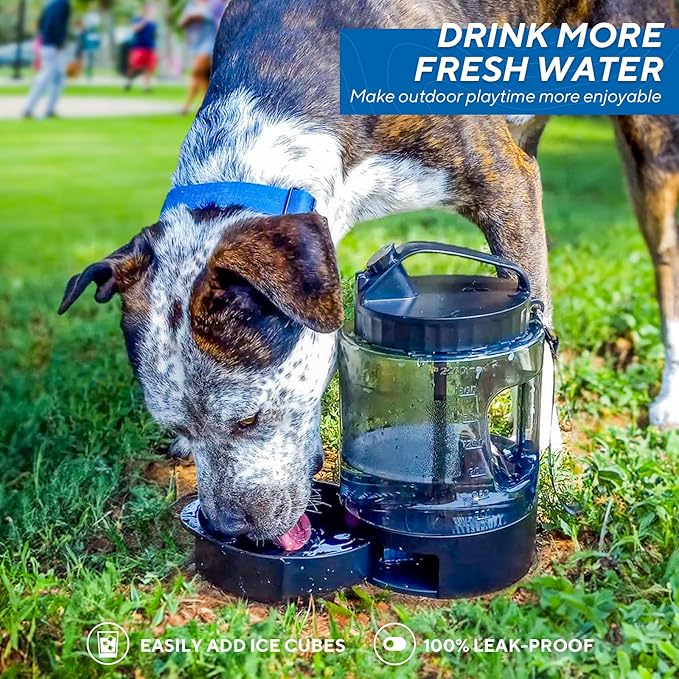 lesotc Portable Dog Travel Water Bottle, 77oz Large Travel Water Bowl for Dogs Camping Hiking Beach