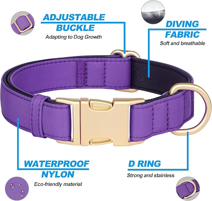 Didog Soft Padded Dog Collars for Small Dogs, Colorful and Durable Dog Collar with Quick Release
