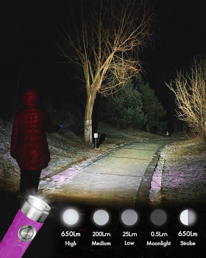 RovyVon Aurora A1 G4 Rechargeable Keychain Flashlights USB C, 650lumens Bright Mini EDC Flashlight