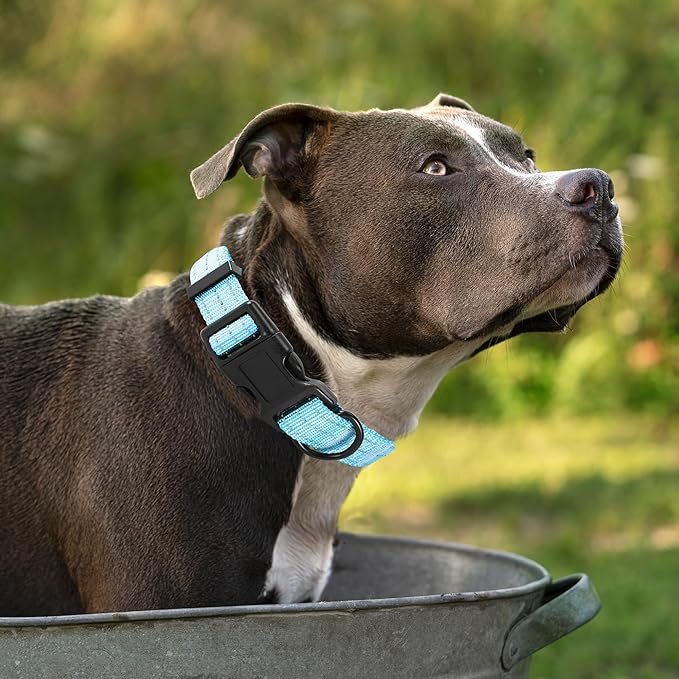 Mile High Life Dog Collar | Nylon Reflective Dog Collars | Light Weight Puppy Collars | Blue Dog
