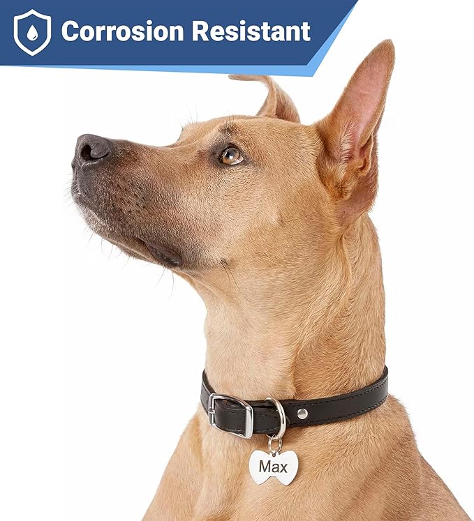GoTags Stainless Steel Pet ID Tags, Personalized Dog Tags and Cat Tags, up to 8 Lines of Custom