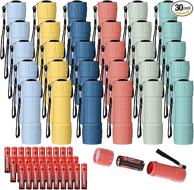 30 Pack 9 LED Small Mini Flashlight Set Plastic Handheld Flashlights with Lanyard, 3 AAA Batteries