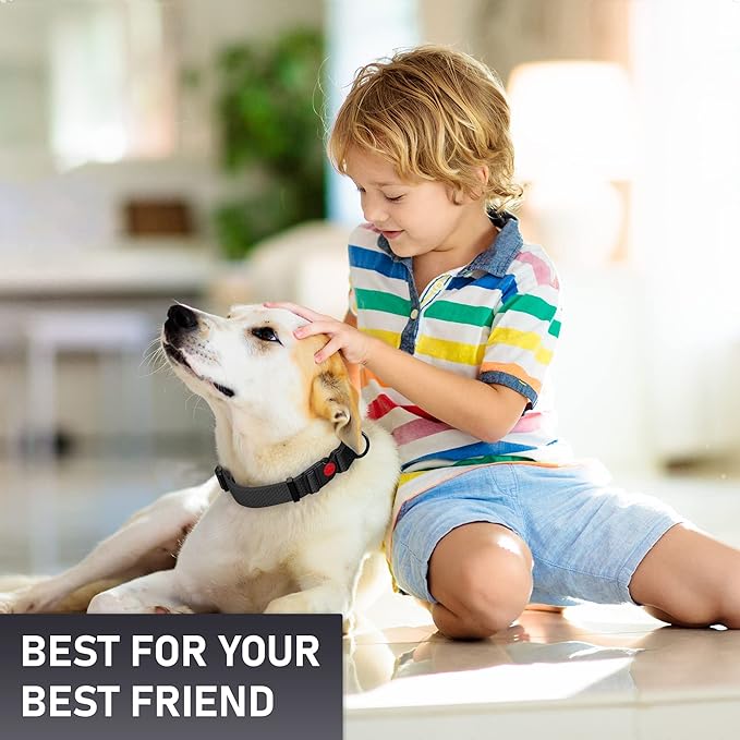 Adjustable Dog Collar with QR Code Dog Tag ID Attached - Made in USA - Honeycomb Waterproof Heavy