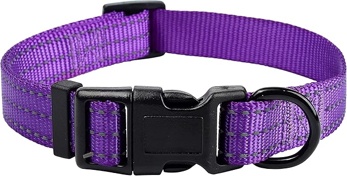 Mile High Life Dog Collar | Nylon Reflective Dog Collars | Light Weight Puppy Collars | Purple Dog