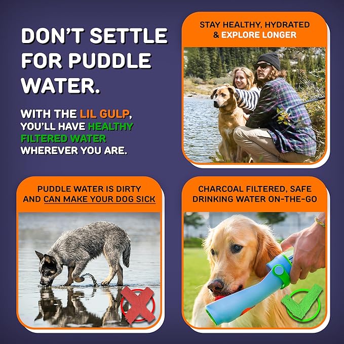 Lil Gulp Dog Water Bottle | Advanced Carbon Filtration for Safe Filtered Water on The Go | BPA-Free