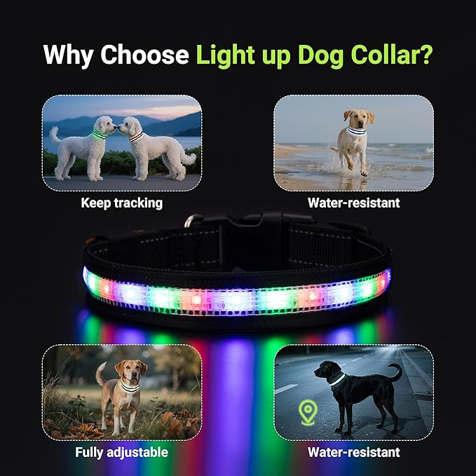 Light Up Dog Collar,Rechargeable Waterproof Led Dog Collar with Remote,Glow in Dark for Night