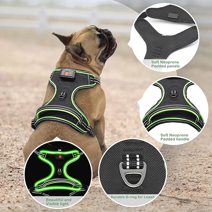 Light Up Dog Harness, No Pull LED Dog Harness with Handle, Rechargeable Lighted Safety Vest for
