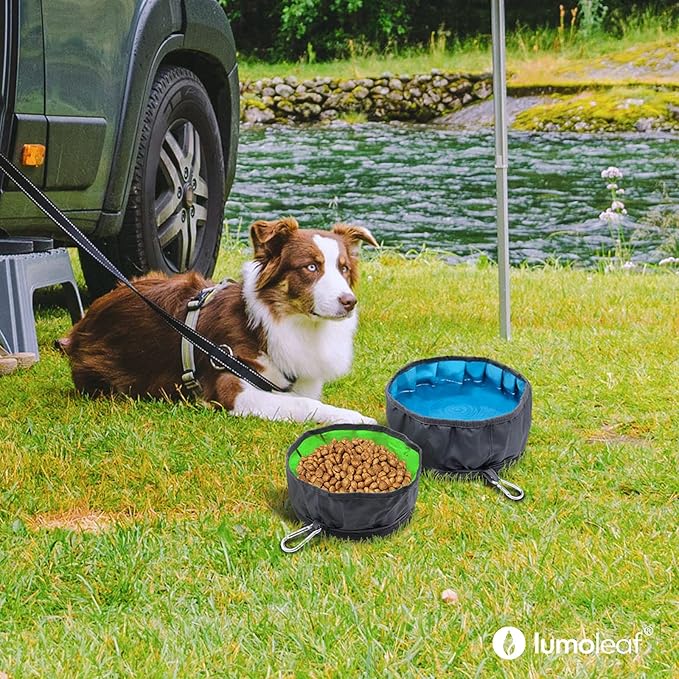 LumoLeaf Collapsible Dog Travel Bowl, 2 Packs Large 68oz/80oz Lightweight Foldable Bowl, Water and