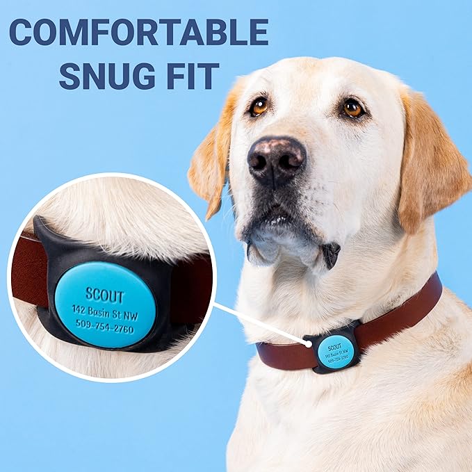 GoTags Designed for Airtag Engraved Dog Collar Holder, Personalized Case for Pet Collar, Up to 4