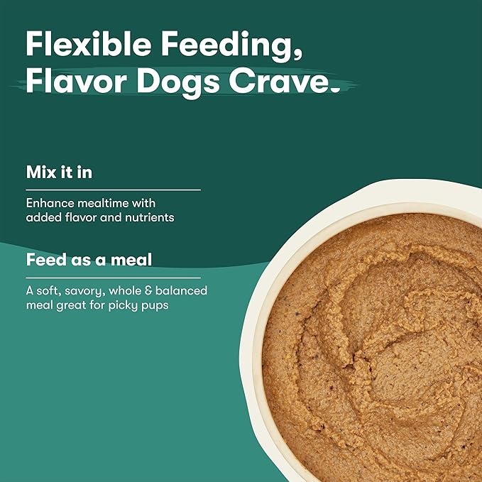 Jinx Premium Wet Dog Food Cans, Variety Pack - Salmon & Chicken Pate - Grain-Free Canned Dog Food