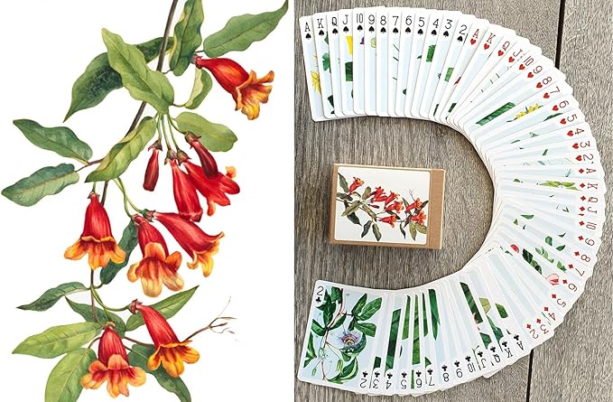 Wildflower Collection Playing Cards (Poker Deck 54 Cards All Different) Vintage Botanical