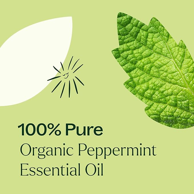 Plant Therapy Organic Peppermint Essential Oil 100% Pure, USDA Certified Organic, Undiluted