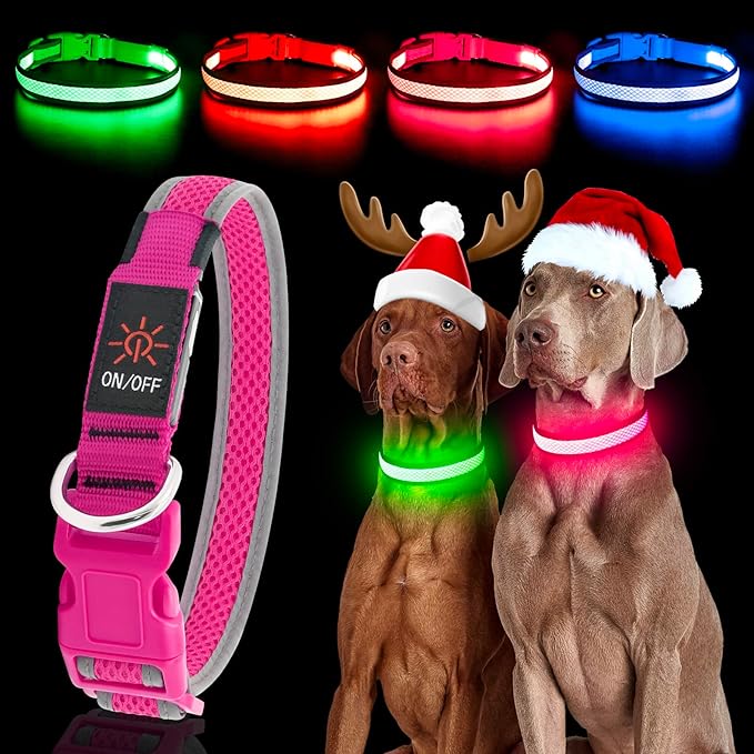 YFbrite Light up Dog Collar, USB Rechargeable LED Puppy Collar Super Bright Adjustable Glowing Dog