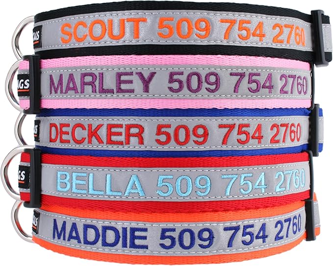 GoTags Reflective Personalized Dog Collar, Custom Embroidered with Pet Name and Phone Number in