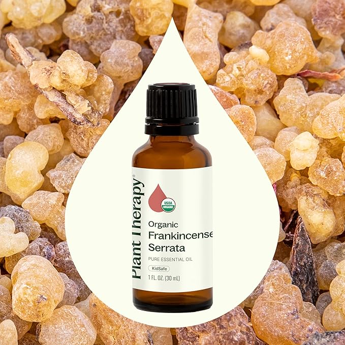 Plant Therapy Organic Frankincense Serrata Essential Oil 100% Pure, USDA Certified Organic