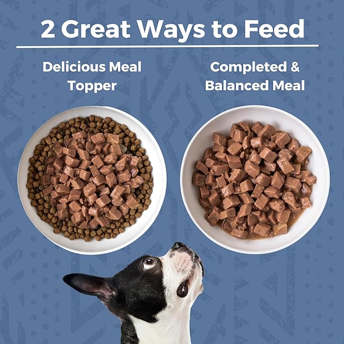 KOHA Minimal Ingredient Rabbit Stew for Dogs, High Protein Limited Ingredient Dog Food, 12.7oz Cans