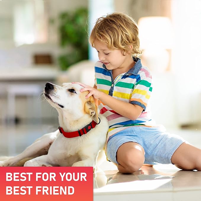 Adjustable Dog Collar with QR Code Dog Tag ID Attached - Made in USA - Honeycomb Waterproof Heavy